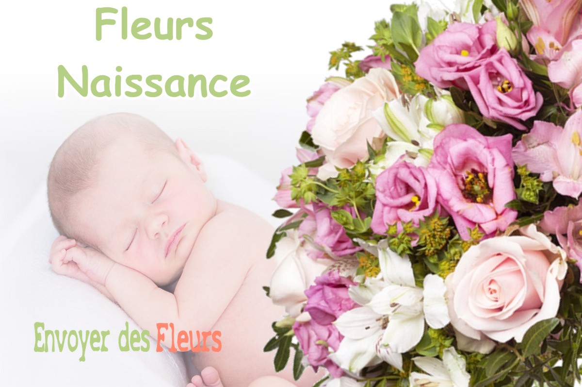 lIVRAISON FLEURS NAISSANCE à AURIS